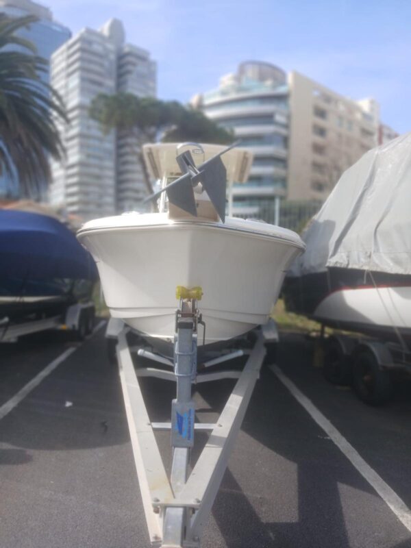 Scout 245 XSF - Imagen 2