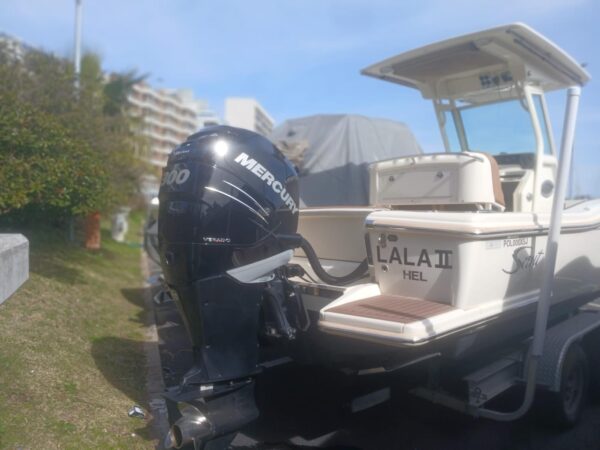 Scout 245 XSF - Imagen 29