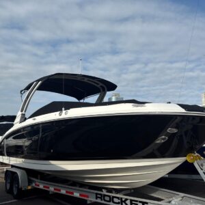 Sea Ray SDX 290